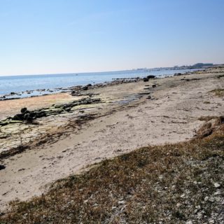 Lasse DSC_0217